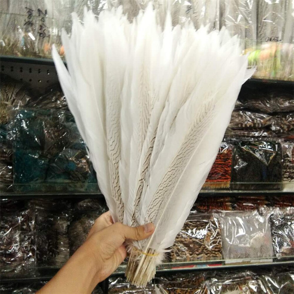 10-80CM 4-32inch Natural Silver Pheasant Tail Feathers White Pheasant Feathers For Crafts Wedding Costume chicken feathers Plume