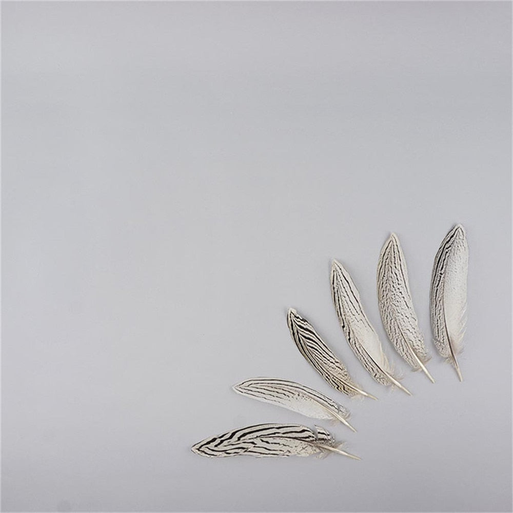 Wholesale Natural Silver Pheasant Tail Feathers 10-80CM White Pheasant Feathers for Crafts Costume Silver Chicken Feathers Plume
