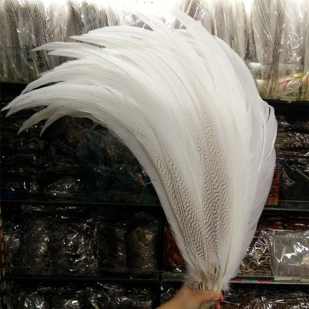 10-80CM 4-32inch Natural Silver Pheasant Tail Feathers White Pheasant Feathers For Crafts Wedding Costume chicken feathers Plume