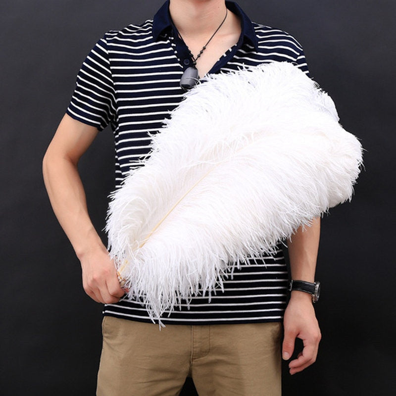 Wholasale Elegant White Ostrich Feathers for Crafts 15-75cm Wedding Party Supplies Carnival Dancer Decoration plumas Plumages