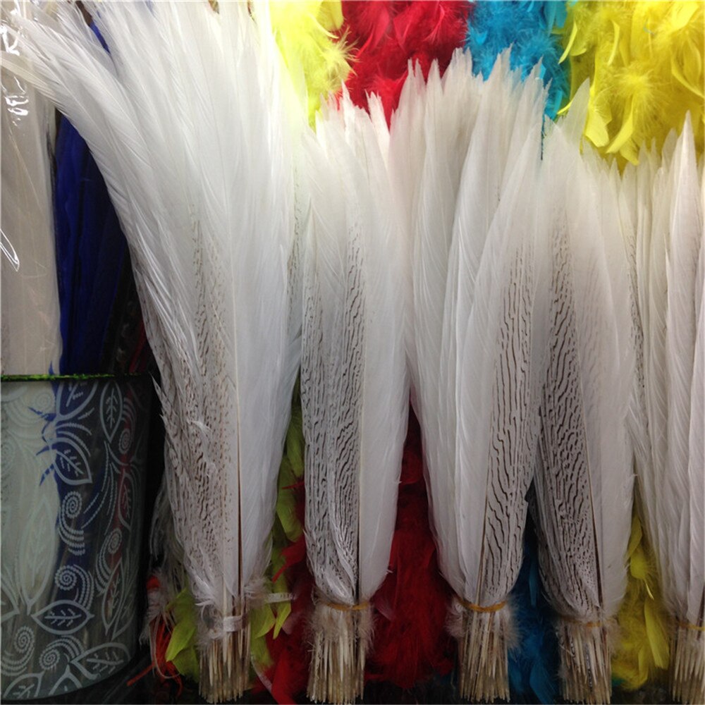 10-80CM 4-32inch Natural Silver Pheasant Tail Feathers White Pheasant Feathers For Crafts Wedding Costume chicken feathers Plume