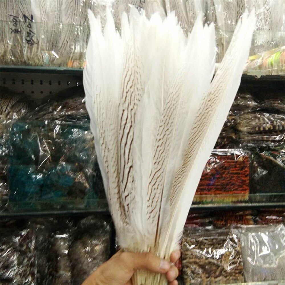 10-80CM 4-32inch Natural Silver Pheasant Tail Feathers White Pheasant Feathers For Crafts Wedding Costume chicken feathers Plume